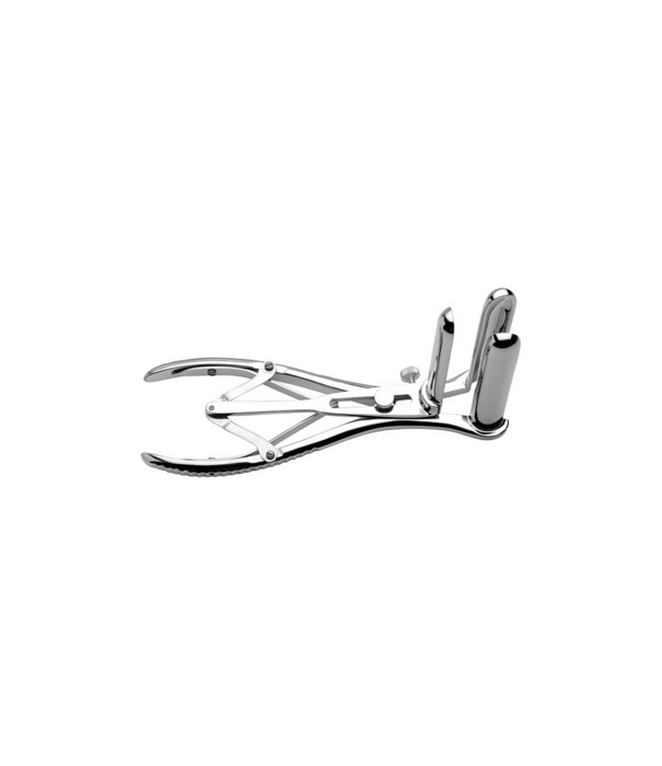 Anale Speculum