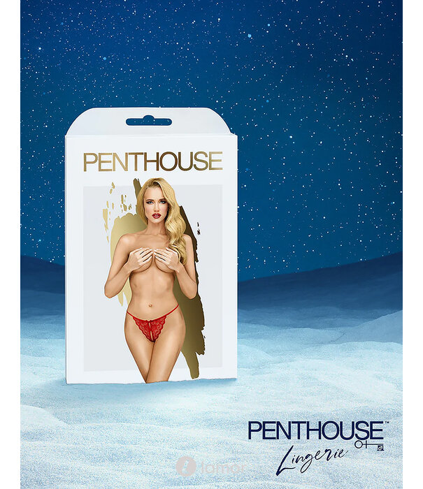 Satisfyer 950 Euro aan premium producten verpakt in deze spannende Adventskalender voor hem en haar