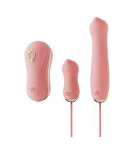 Zuigvibrator met Pomp en Verschillende Opzetstukken