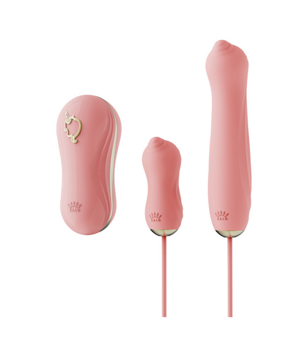 Zalo Sucking Vibrator with Pump and Different Attachments