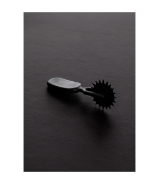 Kleine Plastic Pinwheel