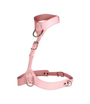 Vixen - Vrouwelijke Borstharnas - Roze