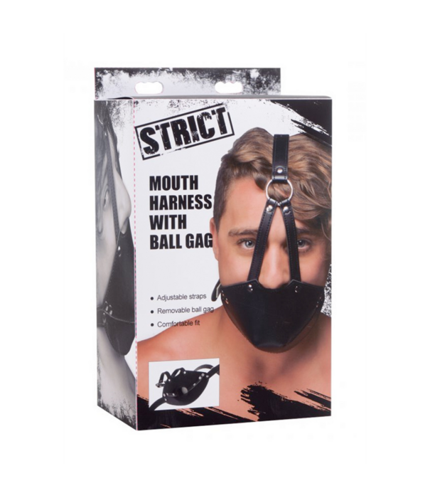 Mondharnas met Ball Gag