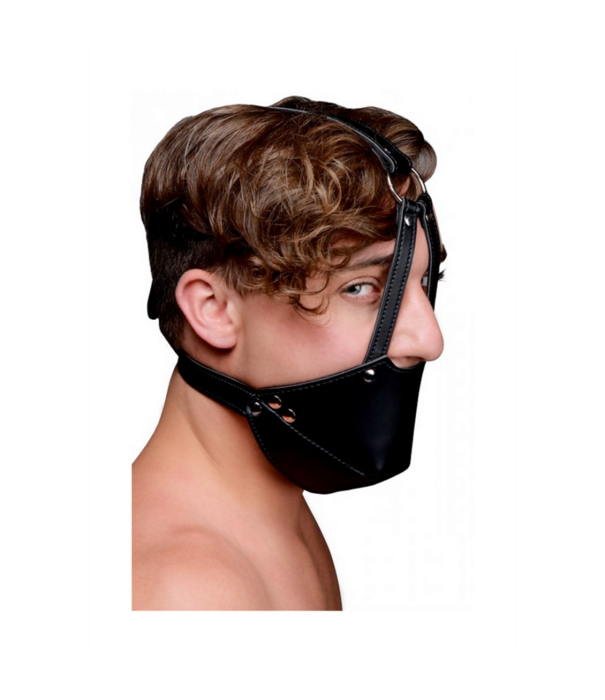 Mondharnas met Ball Gag