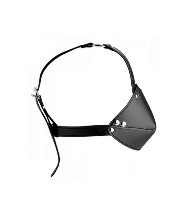 Mondharnas met Ball Gag