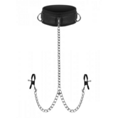 Submission - Kraag en Tepelknijper Unie