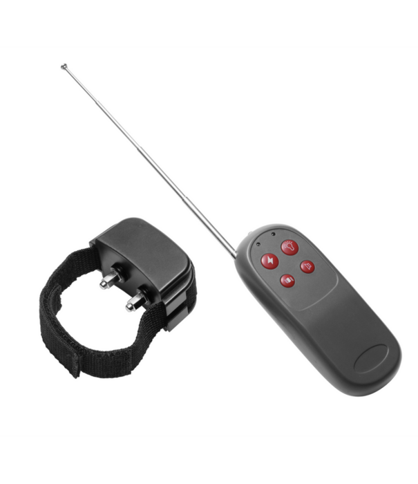 Cock Shock - Electro Stimulatie Cockring met Afstandsbediening