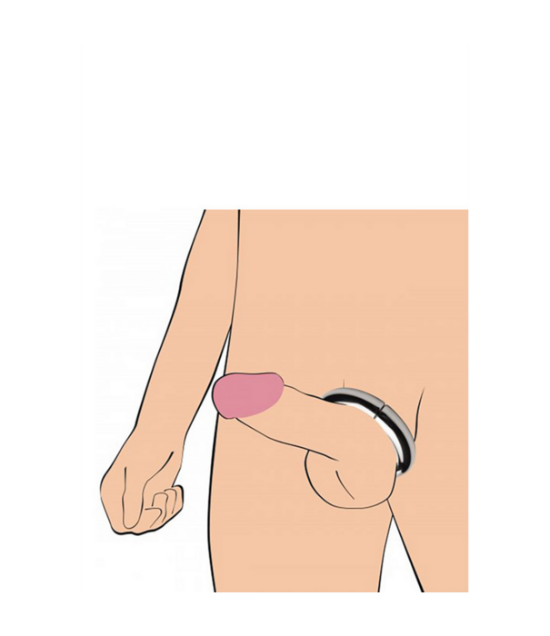 Mega Magnetize - RVS Magnetische Cockring - 2 / 4,4 cm