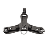 Pup - Puppy Speelmasker + Ademend Ballgag