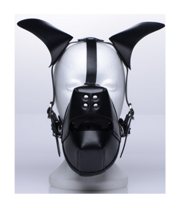 Pup - Puppy Speelmasker + Ademend Ballgag