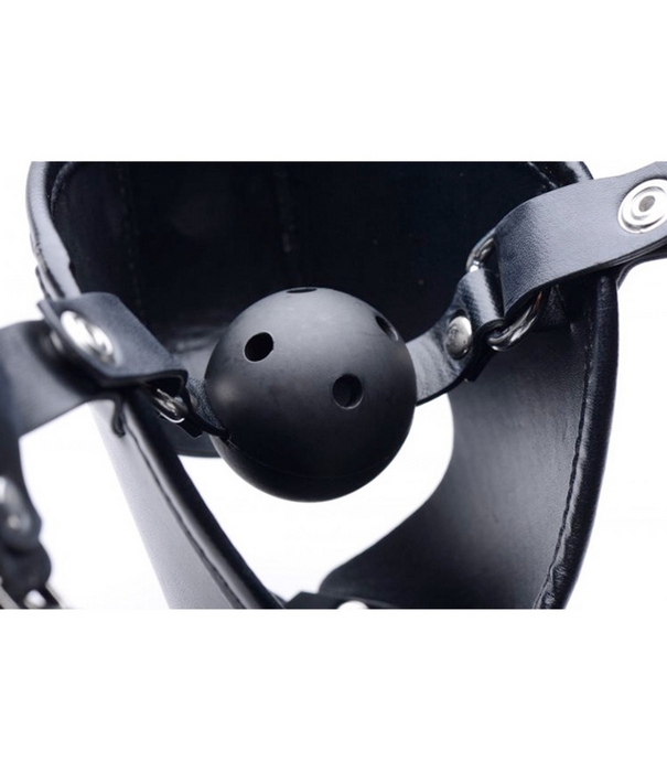 Pup - Puppy Speelmasker + Ademend Ballgag