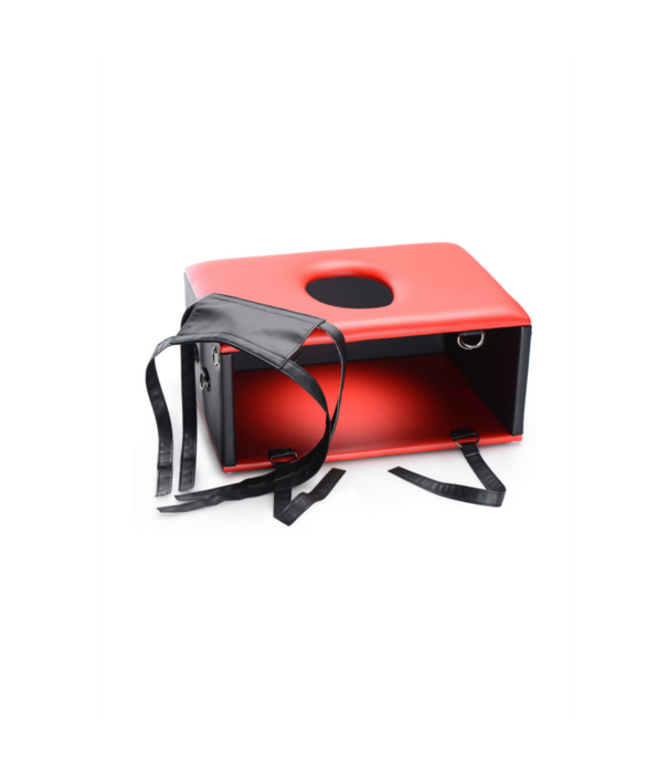 Queening Chair - Sex Chair