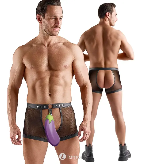 * SVENJOYMENT Svenjoyment Heren Jockstrap Ouvert Van Mesh Met Cockring