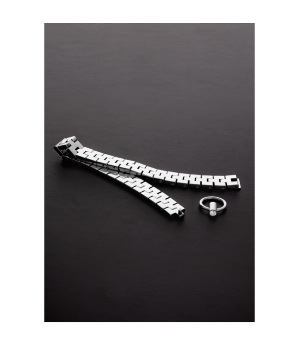 Steel by Shots Horlogeband Kraag met Slot - 17 / 43 cm