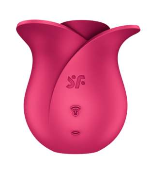 Pro 2 - Modern Blossom - Air Pulse Vibrator - Modern Pink