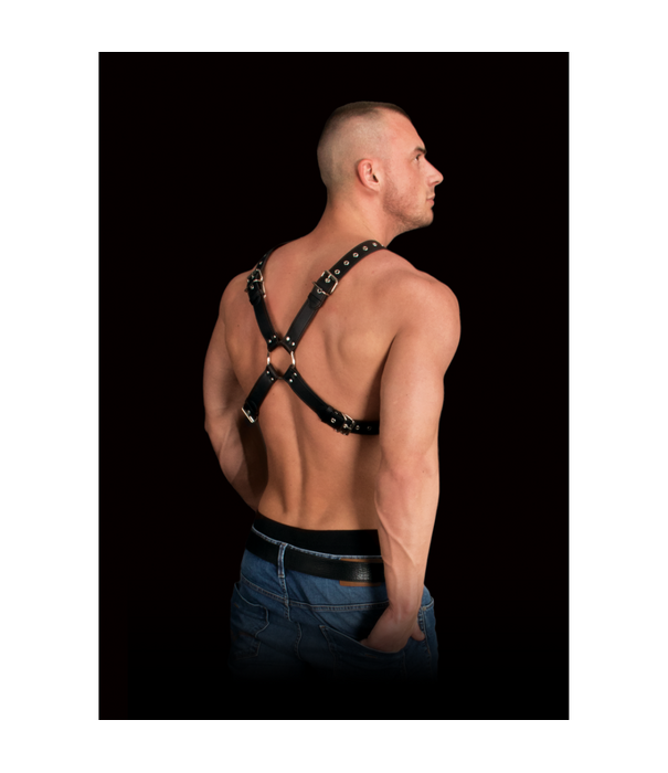 Ouch! by Shots Adonis - Hoge Halter Harnas