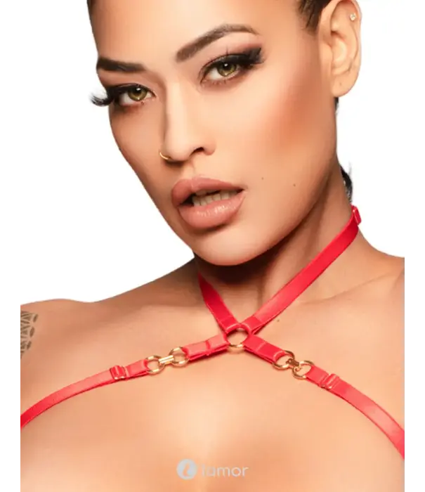 * Kinky Diva Kinky Diva Coquette Cupless Crotchless Mesh Body Rood Goud O/S