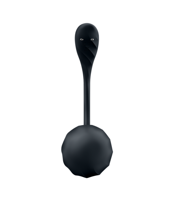 Satisfyer Ribbed Petal Connect App - Draagbare Koppel Vibrator - Zwart