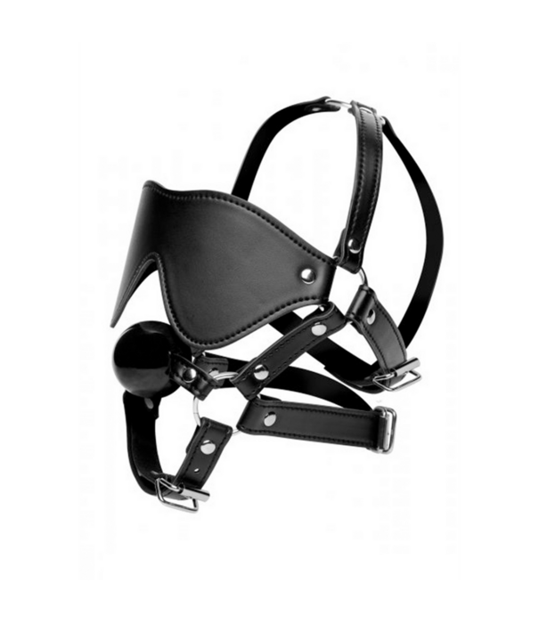 Oogmasker met Ballgag Harness