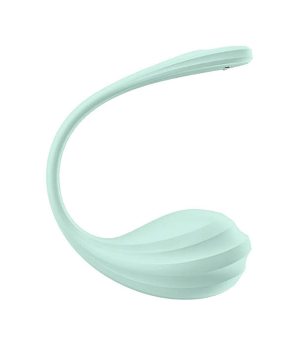 Satisfyer Smooth Petal Connect App - Draagbare Paar Vibrator - Mint