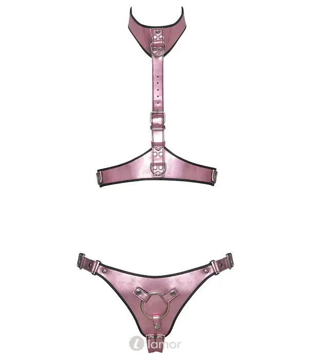 * Bad Kitty Rosé harness set met strap-on jock – Bad Kitty