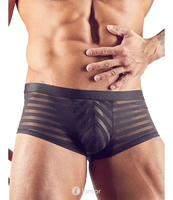 * SVENJOYMENT Svenjoyment Transparante Heren Short Met Strepen SJ2131153