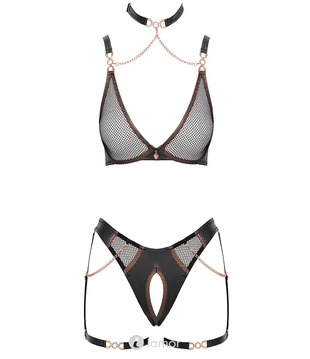* ABIERTA FINA Abierta Fina beha en jarretelstring set met mesh, matte look en roségoudkleurige details AF2215780