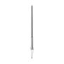 Cane met RVS Handvat
