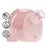 Dreamsicle - Compact AirTap Vibrator met Twee Hoofdaccessoires - Roze