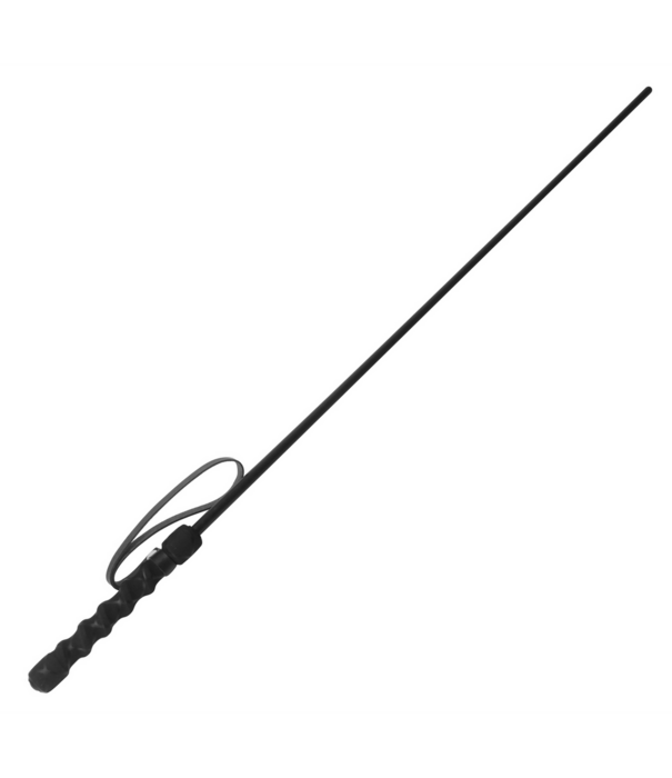 Intense Impact Cane - Zwart