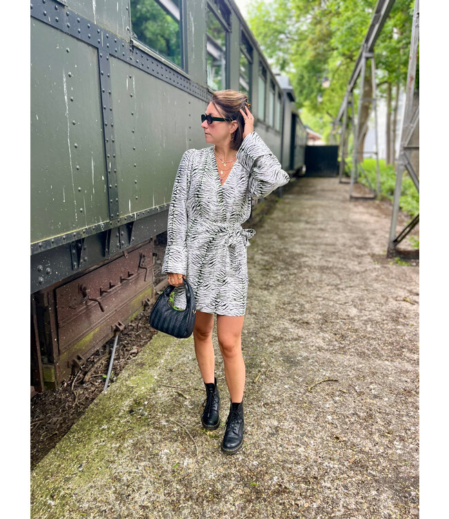 LISELLE - Dress zebra