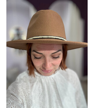 Fedora hat brown