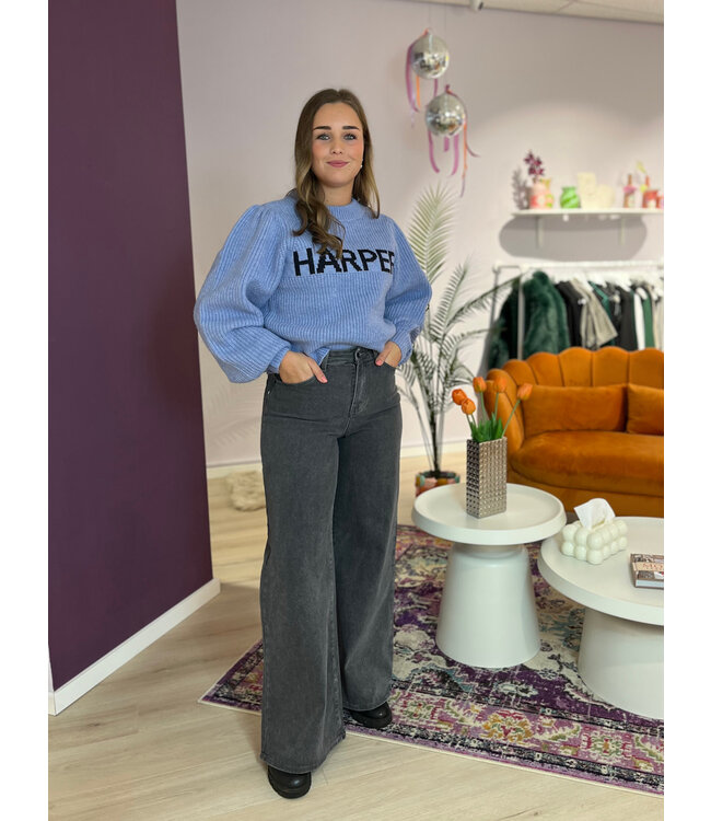 TAILOR - Denim grey