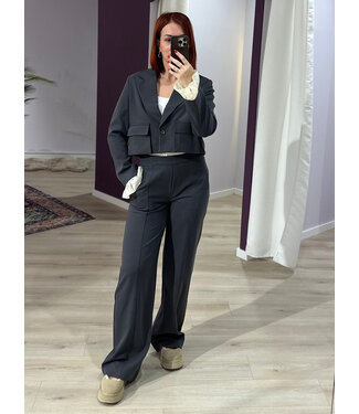 Harper & Yve LILIAN - Pants grey