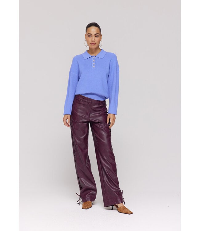 SALLY - Pants faux leather wine red