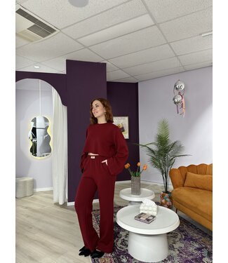 Refined Department NOVA - Pants bordeaux