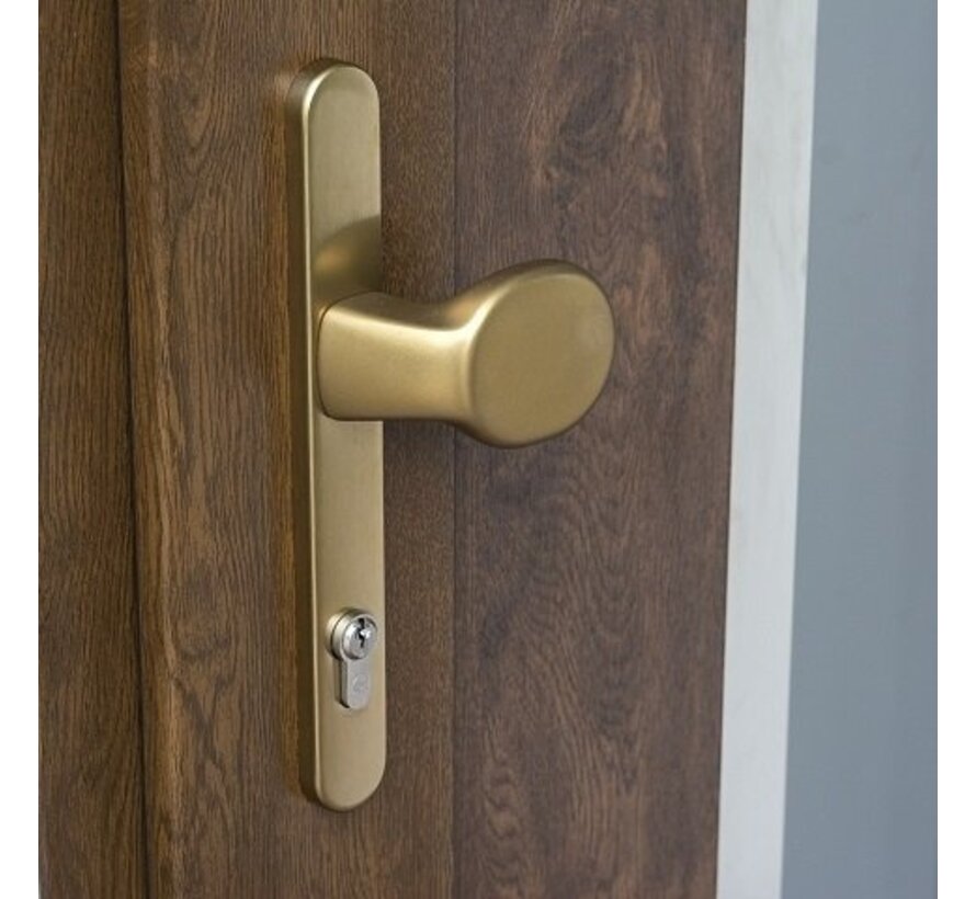 Voordeur Montana Inox