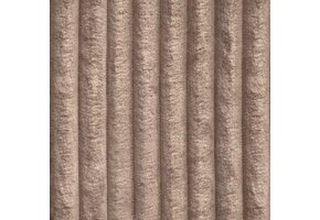 Tilia 17 Camel