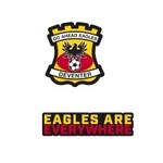 Go Ahead Eagles Europa pin