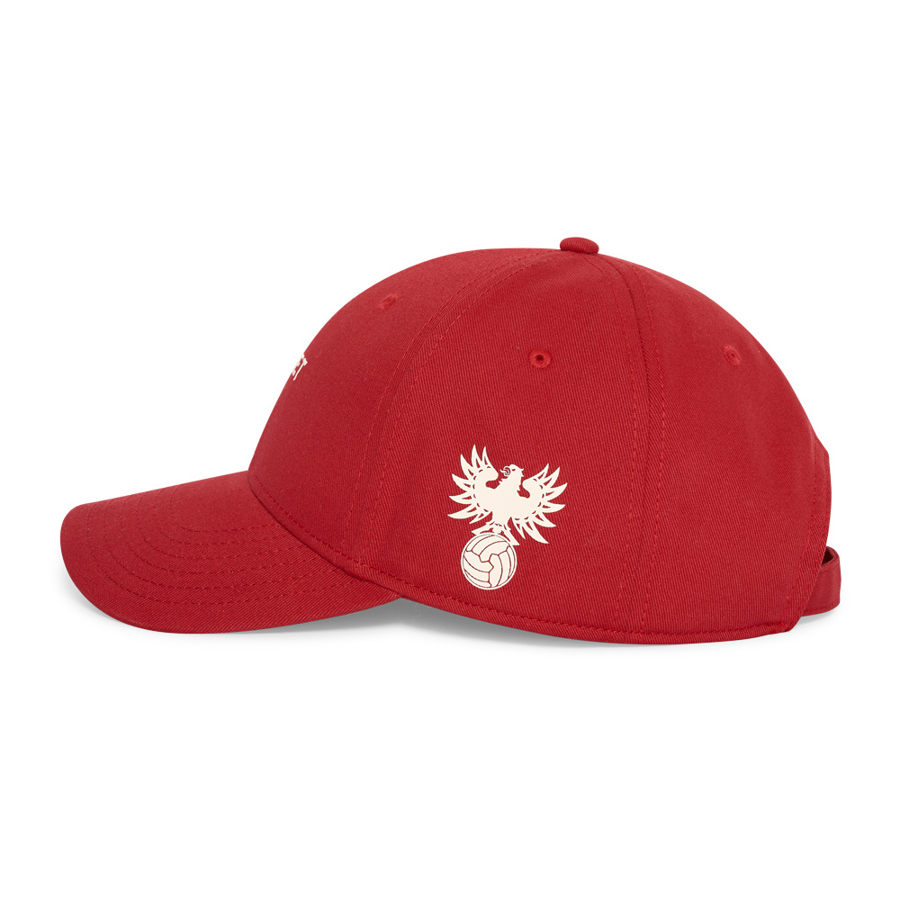 Go Ahead Eagles Kowet pet