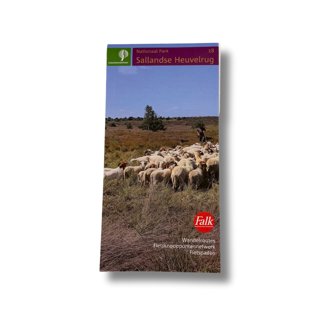 Wandelroute Sallandse Heuvelrug