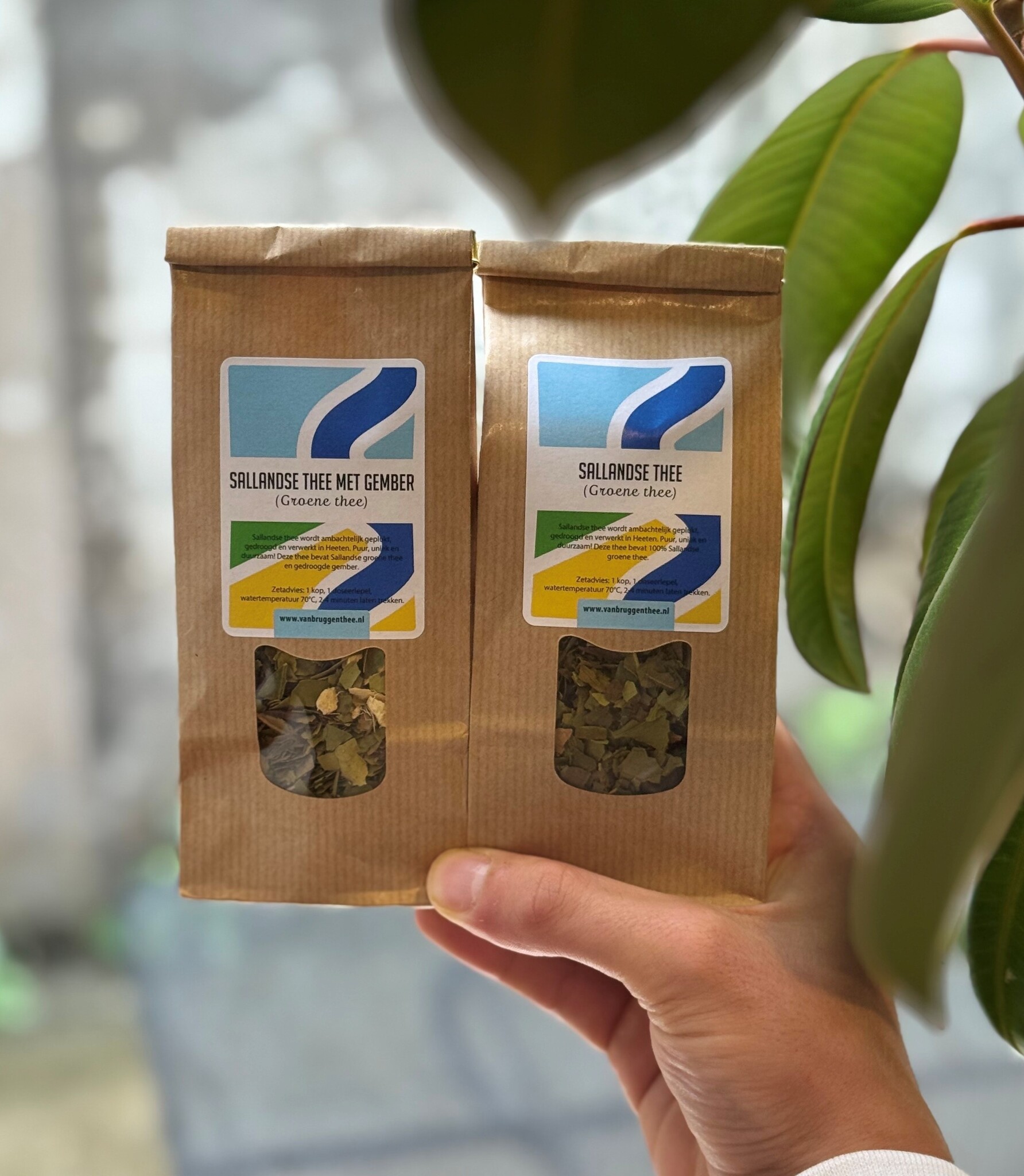 Sallandse Thee
