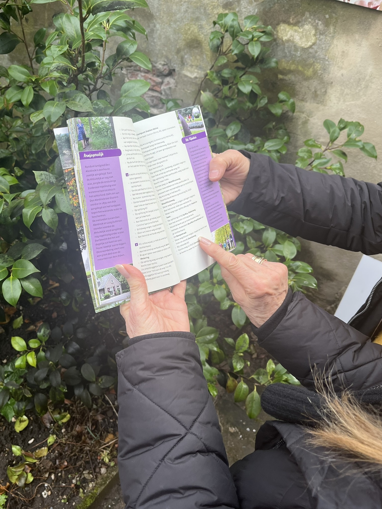 Winterwandelen: warm de kou door