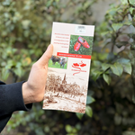 Klompenpad Beekweidenpad