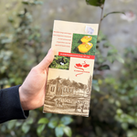 Klompenpad Klompenmakerspad