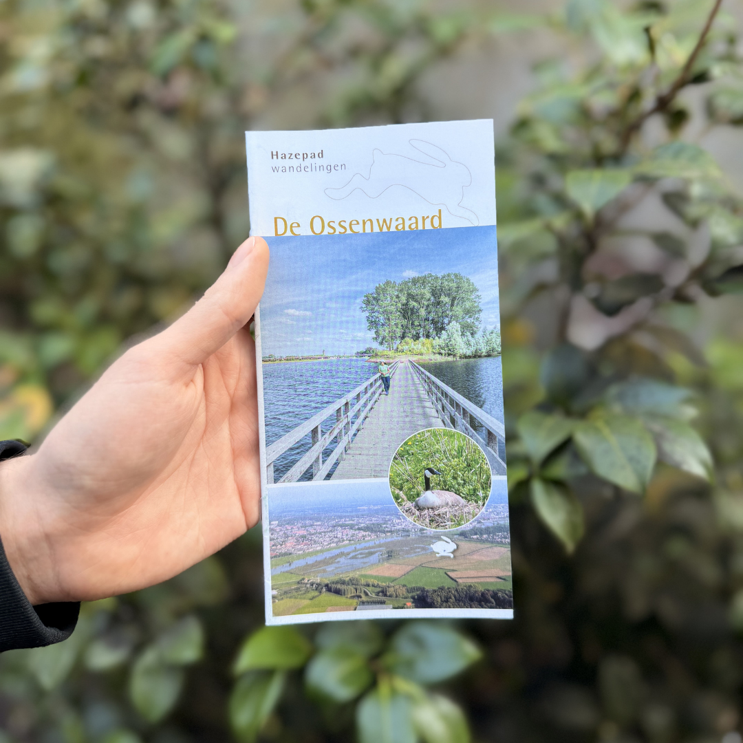 Ossenwaard Hazepad