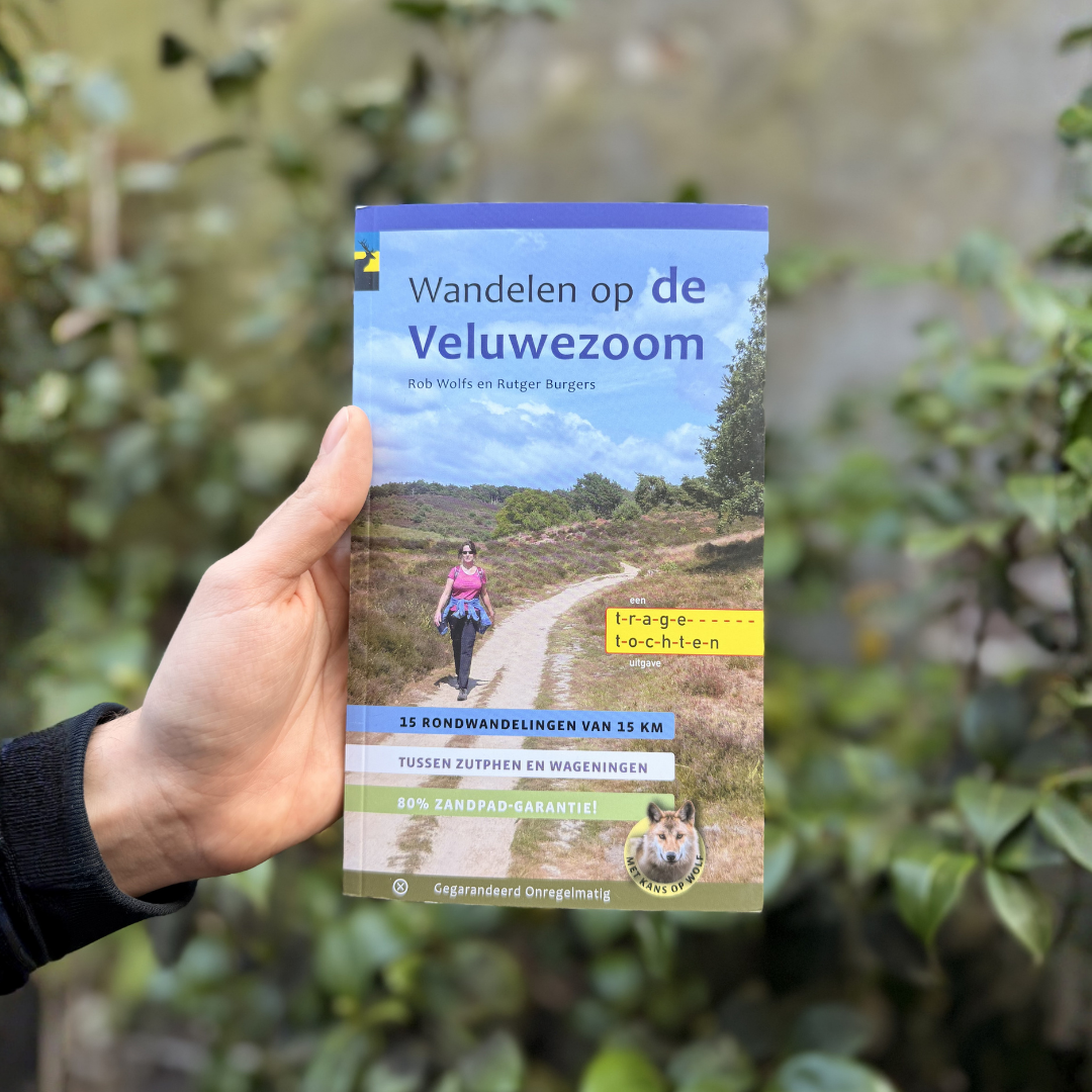 Wandelen op de Veluwezoom