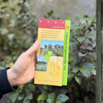 Ommetje ’t Welsums Kippeneindje