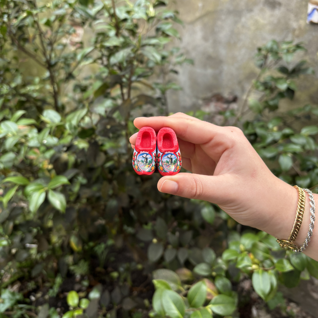 Magneet Klompjes Hout