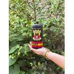 Go Ahead Eagles bidon